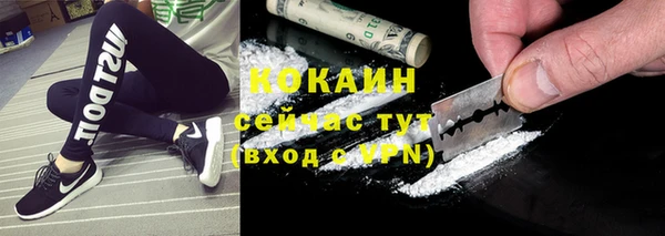 соль ск Белокуриха
